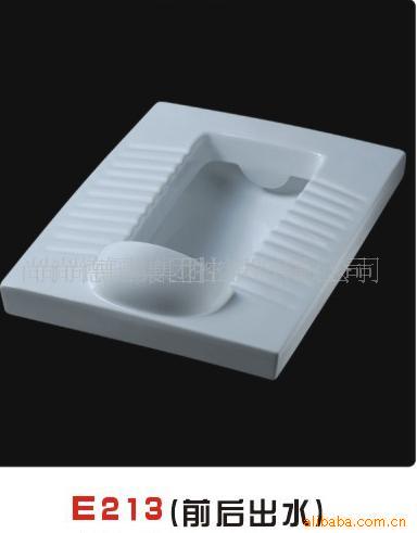大便器